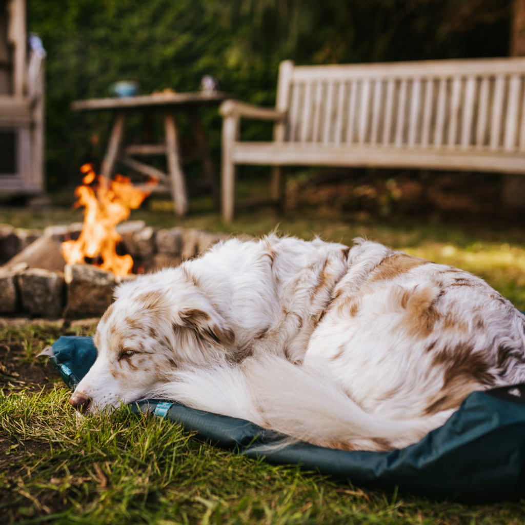 Non-Stop Dogwear Trekking Dog Bed