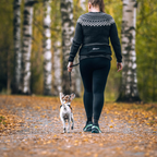 Non-Stop Dogwear Rush Belt