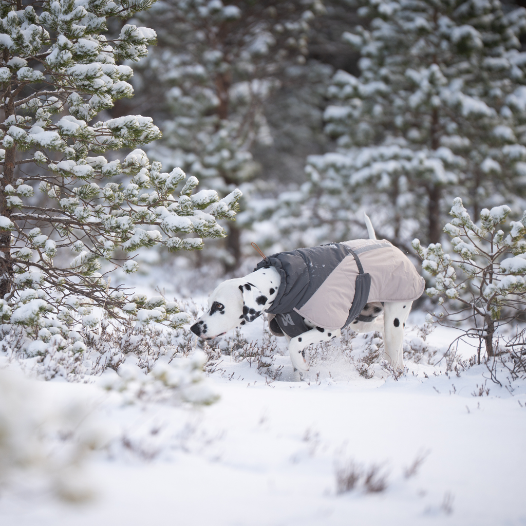 Non-Stop Dogwear Glacier Wool Jacket 3.0