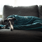 Non-Stop Dogwear Trail Quest Fleece Overall