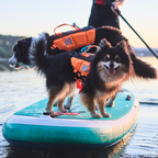 Non-stop Dogwear Protector Life Jacket