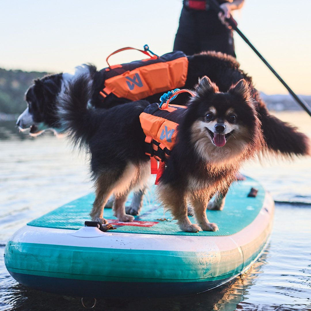 Non-stop Dogwear Protector Life Jacket