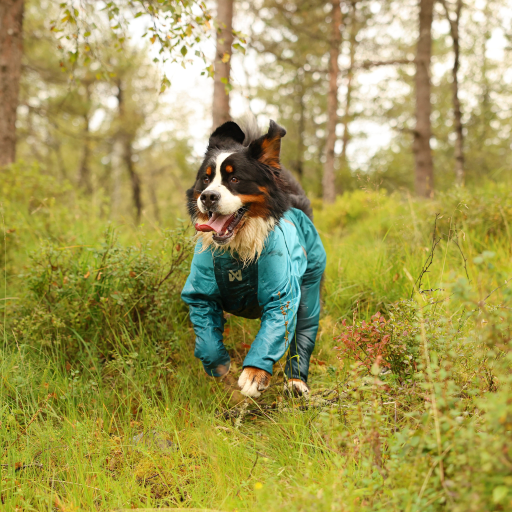 Non-Stop Dogwear Fjord Overall Regenjas