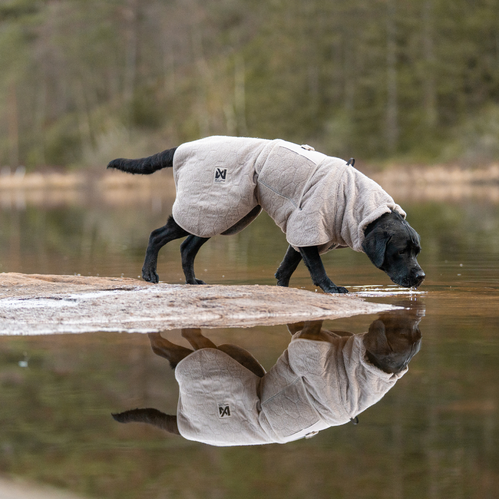 Non-Stop Dogwear Drying Coat