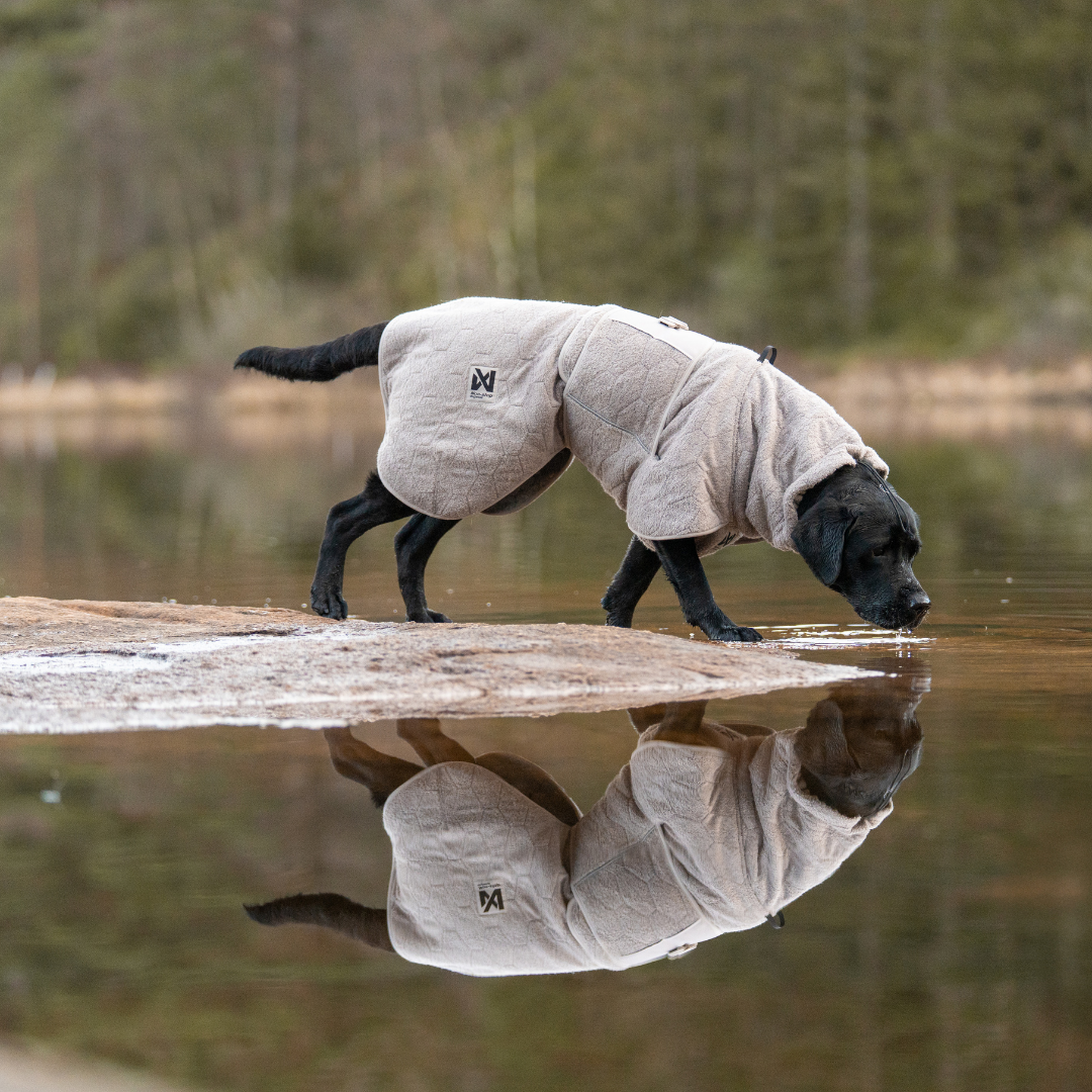 Non-Stop Dogwear Drying Coat