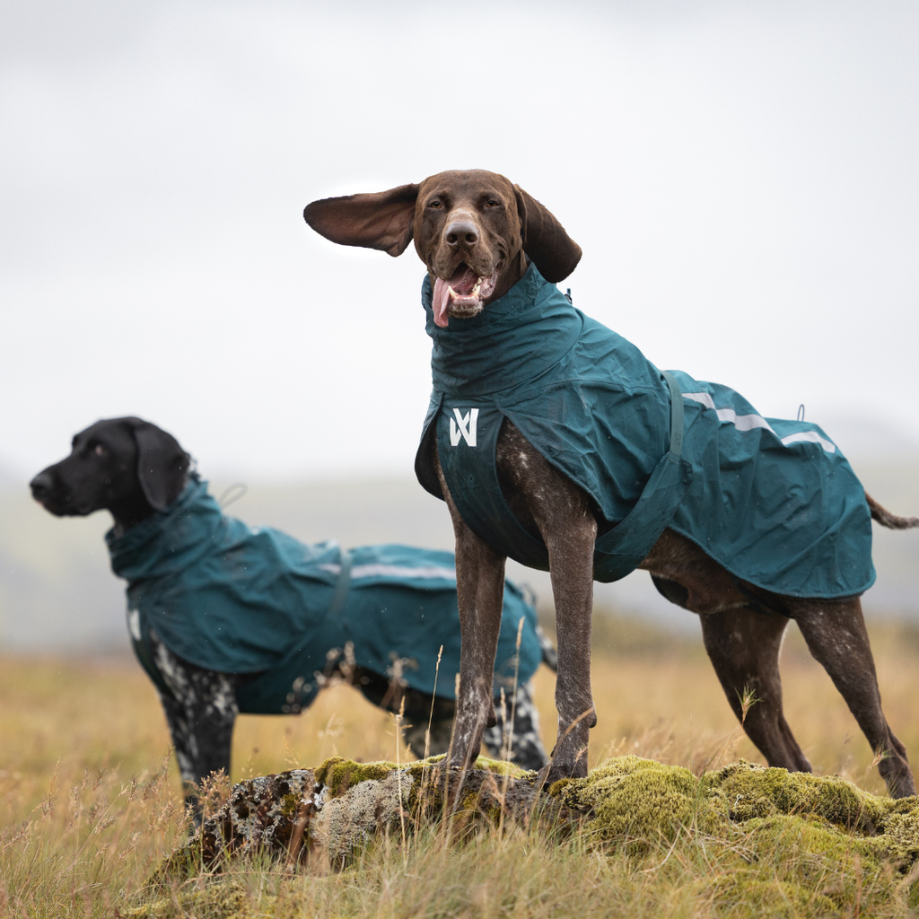 Non-Stop Dogwear Fjord Lined Raincoat