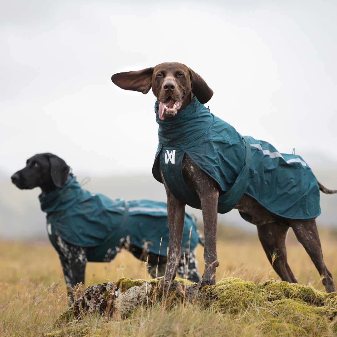 Non-Stop Dogwear Fjord Lined Raincoat