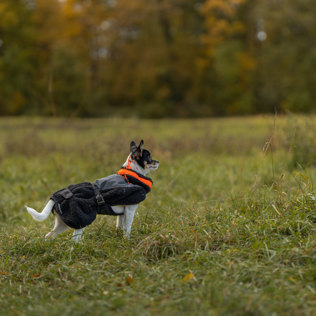 Non-Stop Dogwear Trekking Fleece