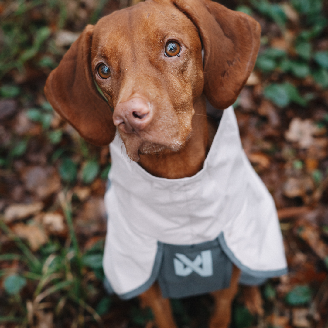 Non-Stop Dogwear Fjord Raincoat 2.0