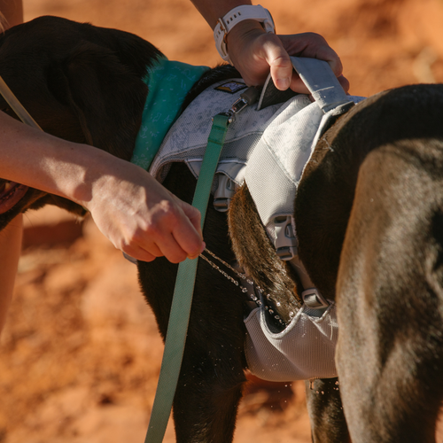 Correa Ruffwear Flagline™