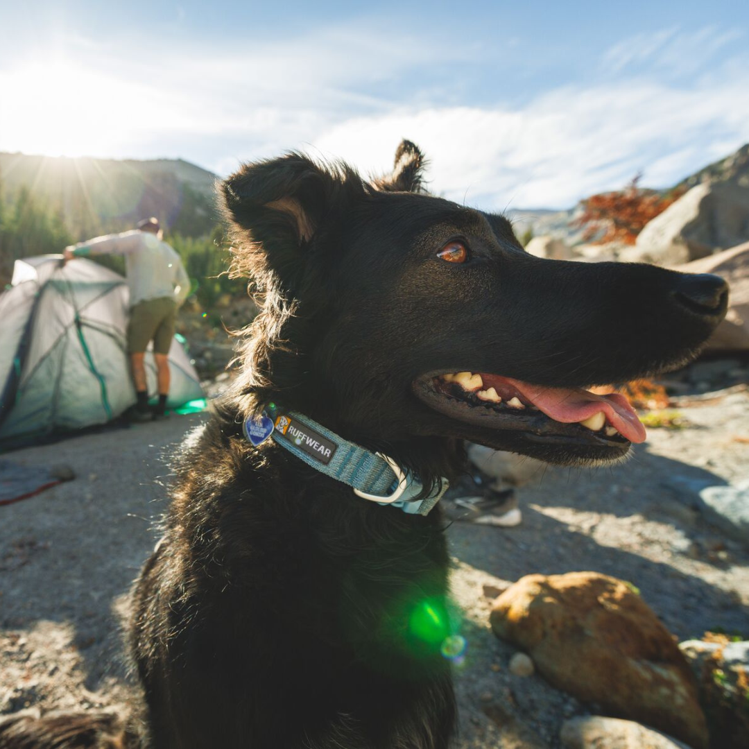 Ruffwear Collar Front Range Flex