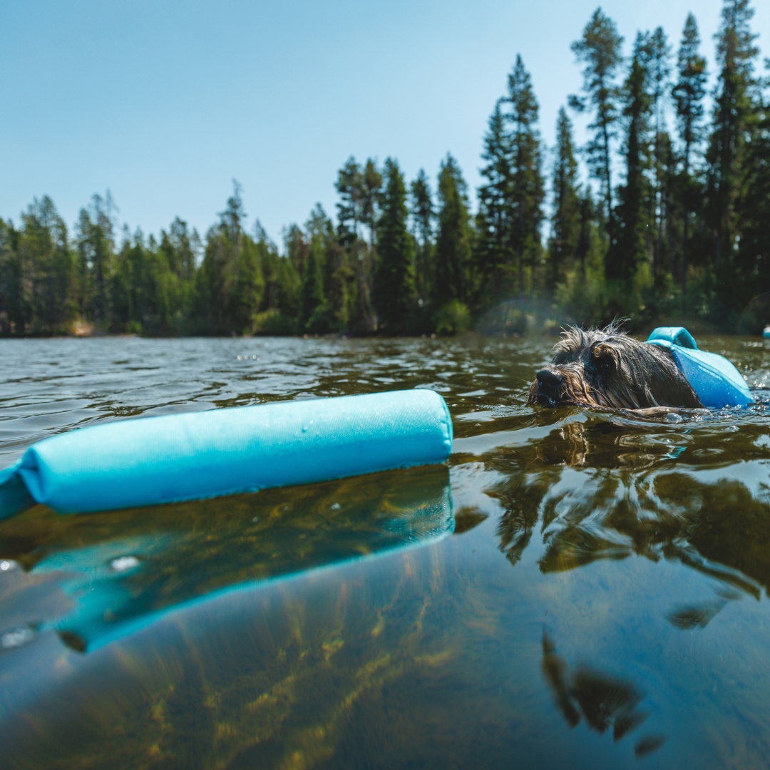 Ruffwear Lunker Juguete flotante