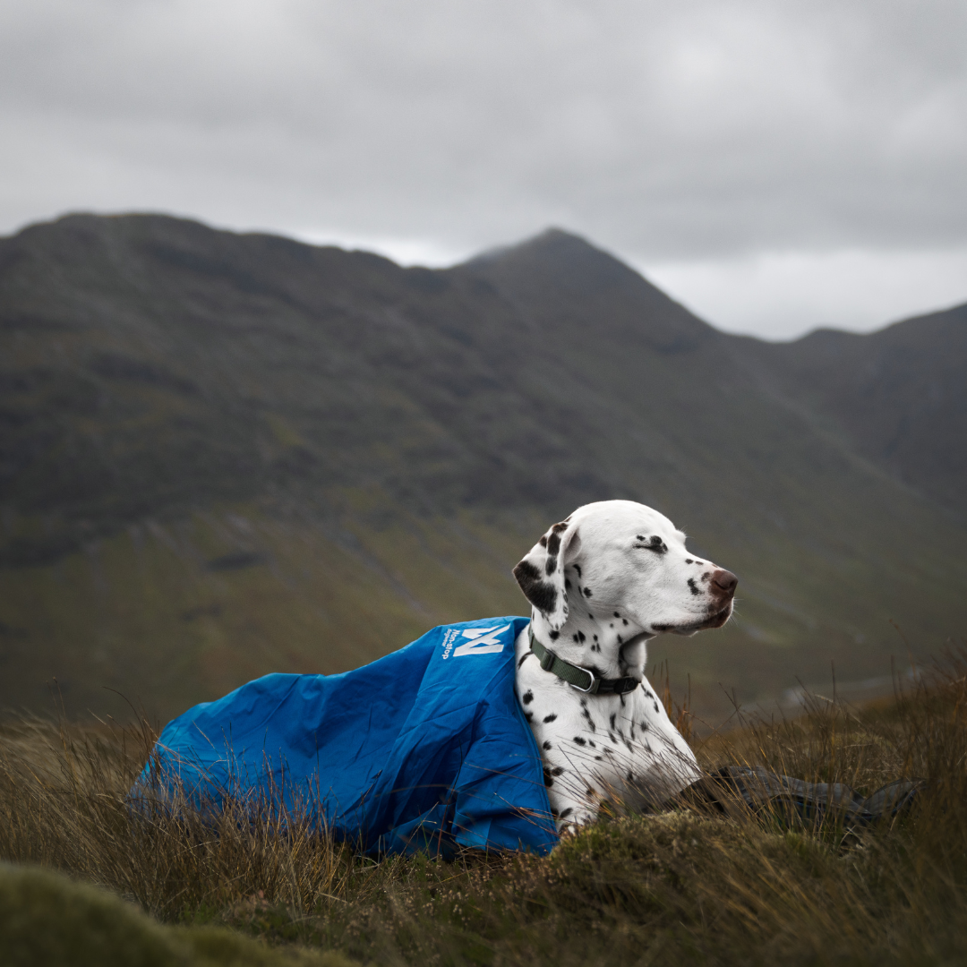 Non-Stop Dogwear Ly Sleeping Bag