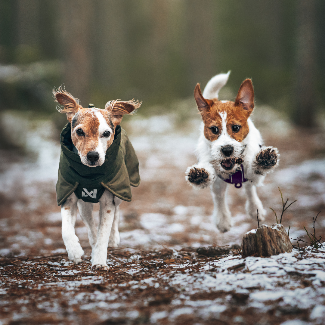 Non-Stop Dogwear Glacier Wool Jacket 3.0
