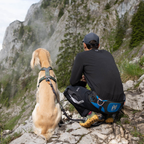 Non-Stop Dogwear Line Harness 5.0