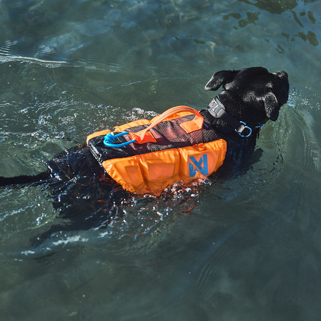 Non-stop Dogwear Protector Life Jacket