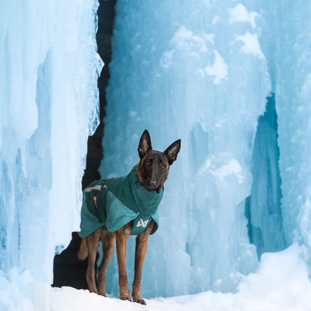 Non-Stop Dogwear Glacier Jacket 3.0