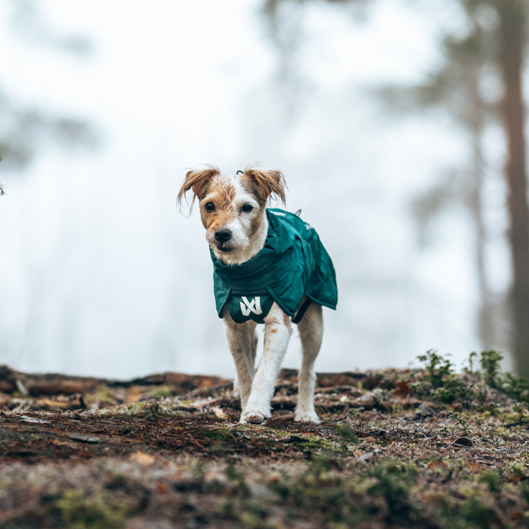 Non-Stop Dogwear Fjord Lined Raincoat