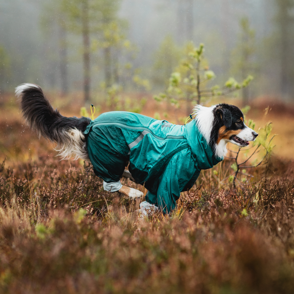 Non-Stop Dogwear Fjord Overall Regenjas