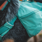 Ruffwear Front Range Mochila de Excursión