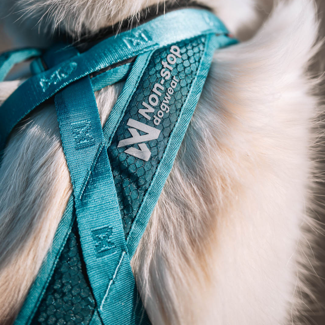 Non-Stop Dogwear Rush Harness