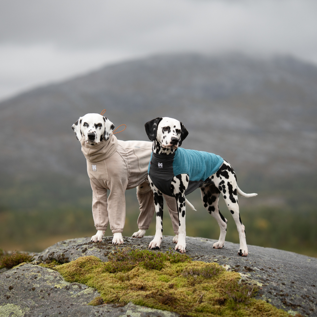 Non-Stop Dogwear Trail Quest Fleece Pullover