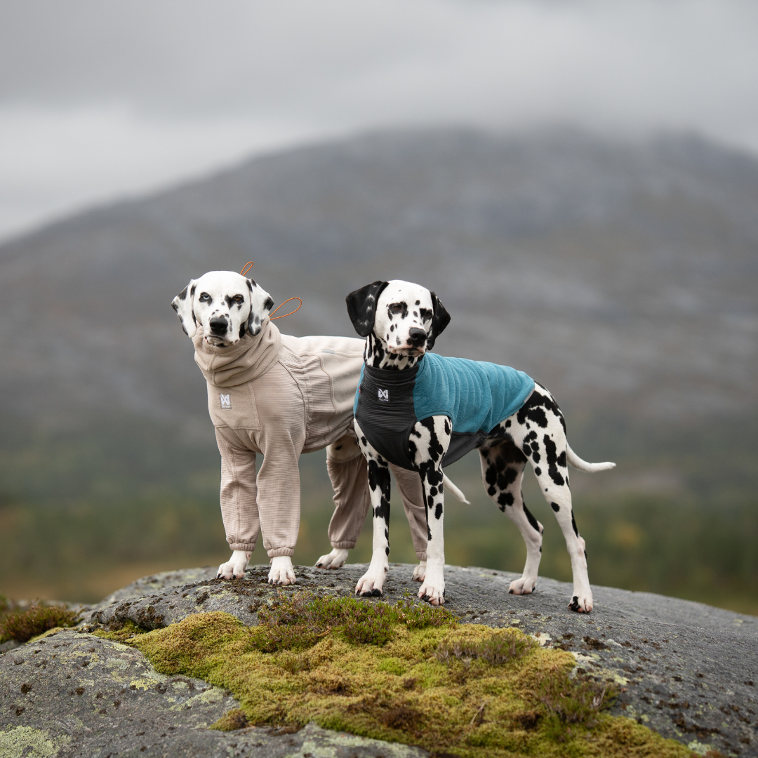 Non-Stop Dogwear Trail Quest Fleece Pullover
