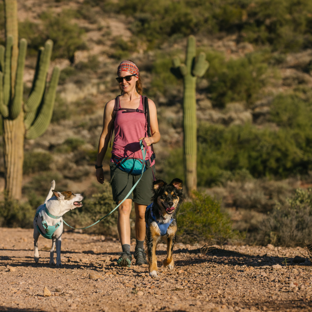Correa Ruffwear Hi & Light™