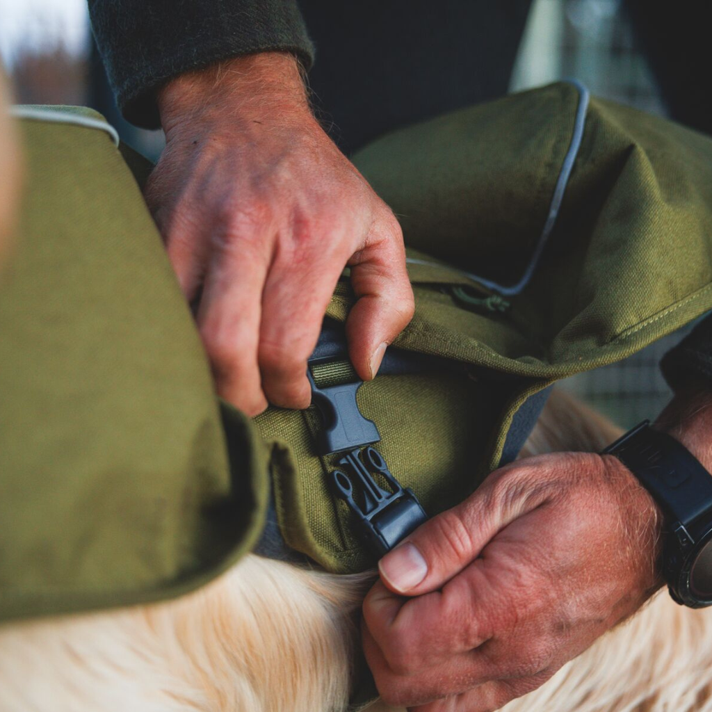 Ruffwear Overcoat Fuse