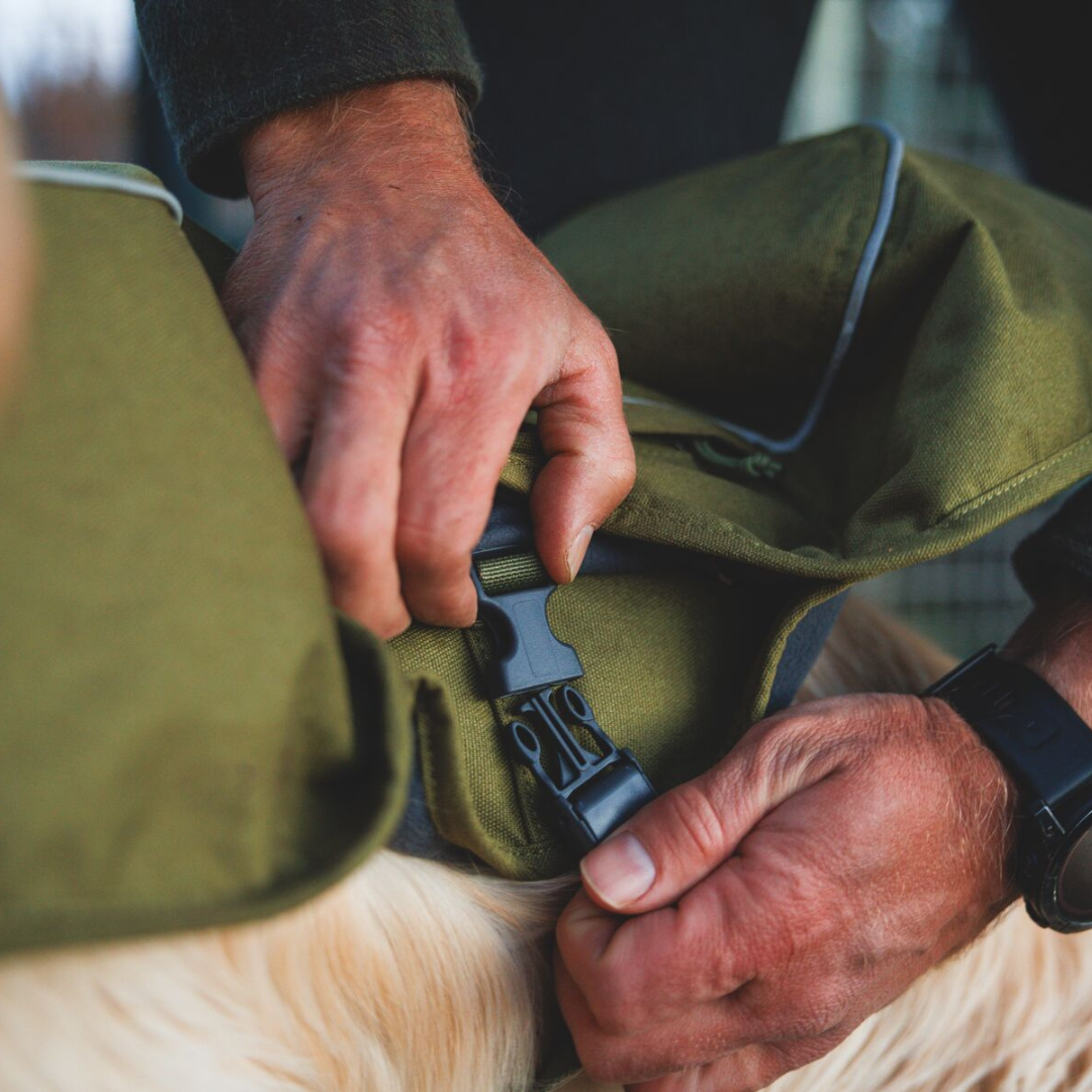 Ruffwear Overcoat Fuse