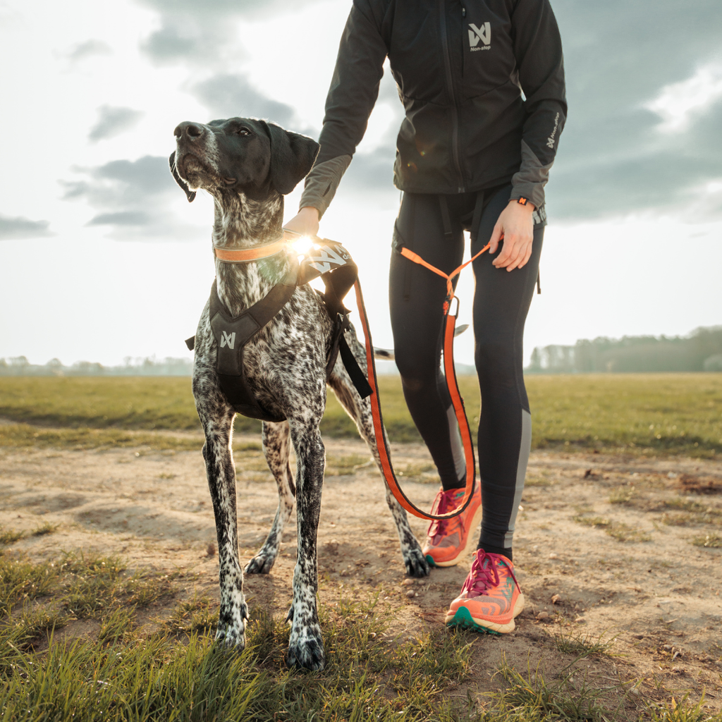 Non-Stop Dogwear Freemotion Harness Pro