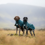 Non-Stop Dogwear Fjord Lined Raincoat