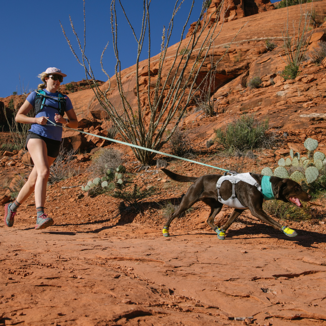 Correa Ruffwear Flagline™