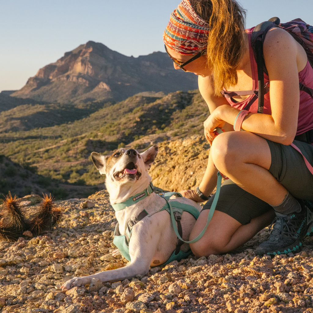 Correa Ruffwear Hi & Light™