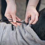 Non-Stop Dogwear Drying Coat