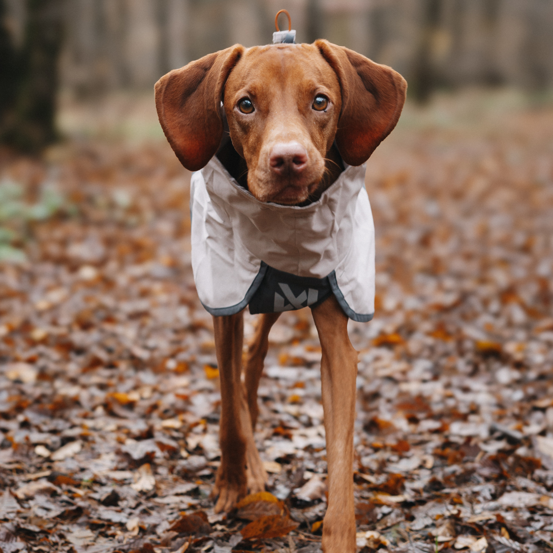 Non-Stop Dogwear Fjord Raincoat 2.0