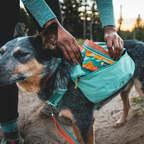 Ruffwear Front Range Mochila de Excursión
