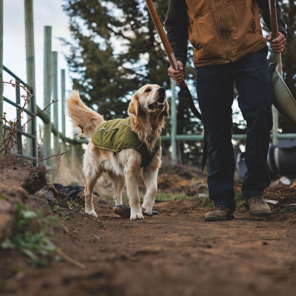Ruffwear Overcoat Fuse