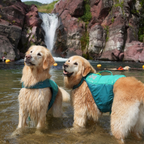 Non-stop Dogwear Protector Life Jacket