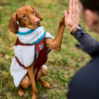 Non-Stop Dogwear Trekking Fleece