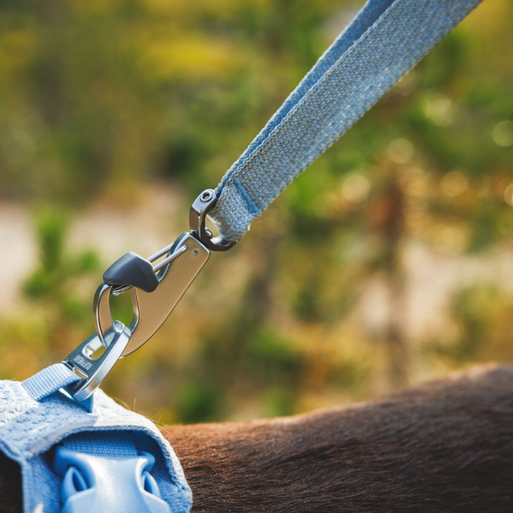Ruffwear Correa Front Range Flex