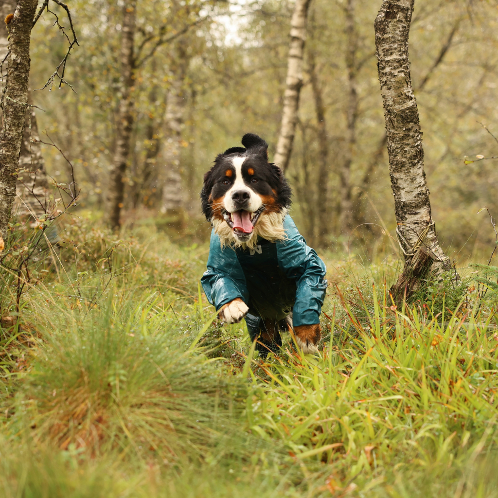 Non-Stop Dogwear Fjord Overall Regenjas
