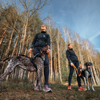 Non-Stop Dogwear Freemotion Harness Pro
