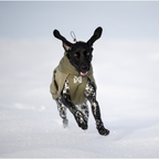 Non-Stop Dogwear Glacier Wool Jacket 3.0