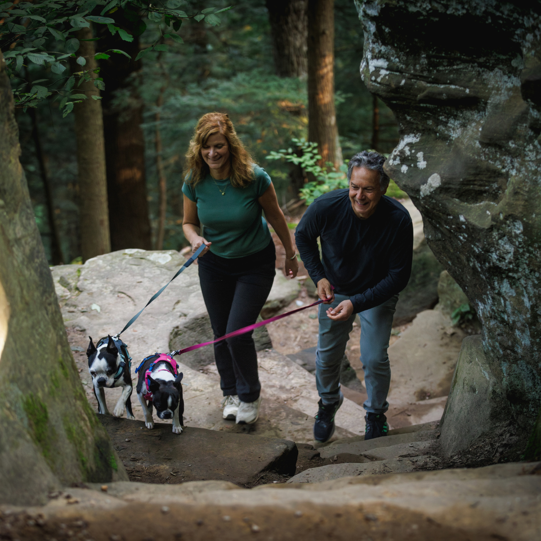 Ruffwear Hi & Light Arnés ligero