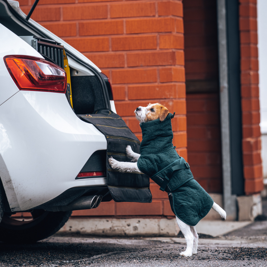 Non-Stop Dogwear Drying Coat