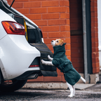 Non-Stop Dogwear Drying Coat
