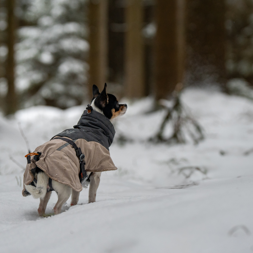 Non-Stop Dogwear Glacier Wool Jacket 3.0