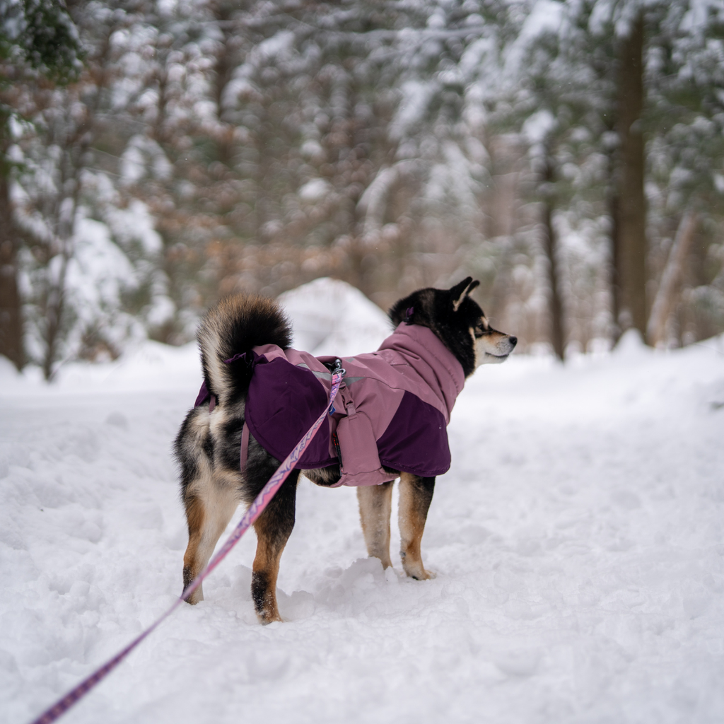 Non-Stop Dogwear Glacier Jacket 3.0