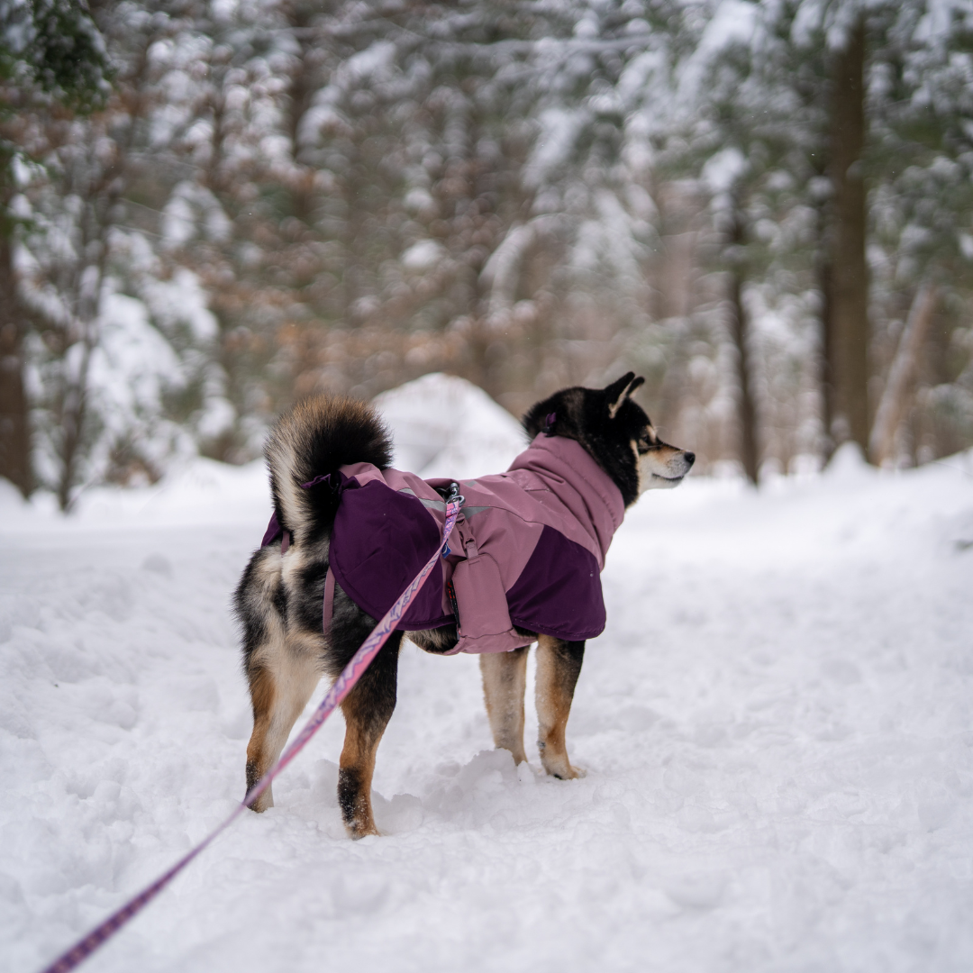 Non-Stop Dogwear Glacier Jacket 3.0
